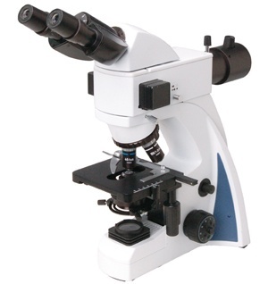 荧光显微镜的图片