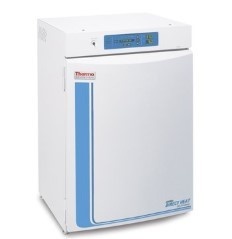 Forma™ 310直热式CO2培养箱的图片