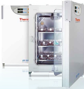 Thermo Scientific BB150 CO2培养箱的图片