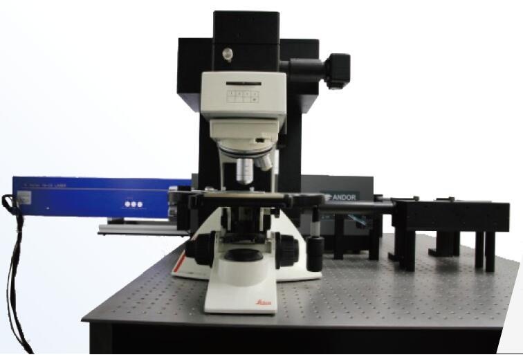 多功能激光共聚焦显微拉曼光谱系统的图片