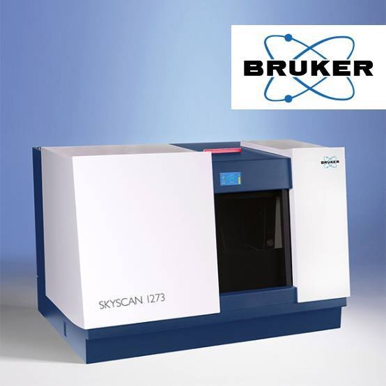 Bruker高通/能量三维X射线显微成像系统（3D XRM）