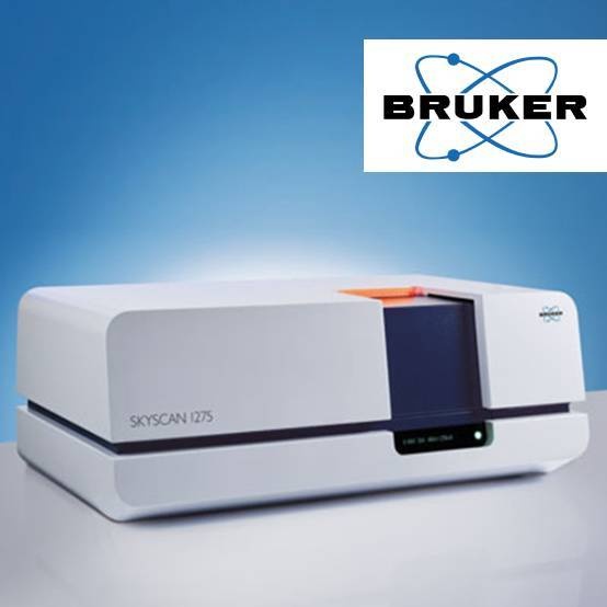 Bruker全自动高速X射线三维显微成像系统（3D XRM）的图片