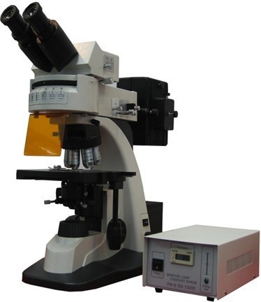 LW500LFT落射荧光显微镜