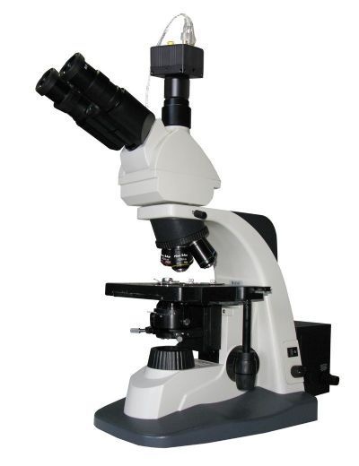LWK500LT科研型生物显微镜的图片