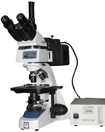 LW300-48LFT落射荧光显微镜的图片