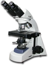 LW300-48LB实验型生物显微镜的图片