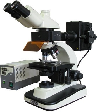 LW200LFT落射荧光显微镜的图片