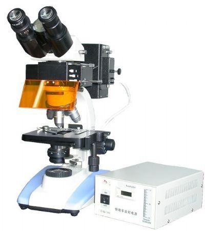 LW100FB双目荧光显微镜的图片