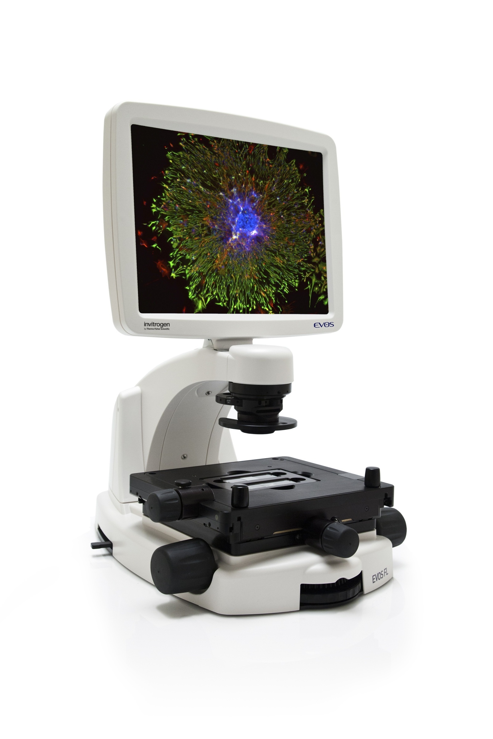 Invitrogen EVOS FL细胞荧光成像系统的图片