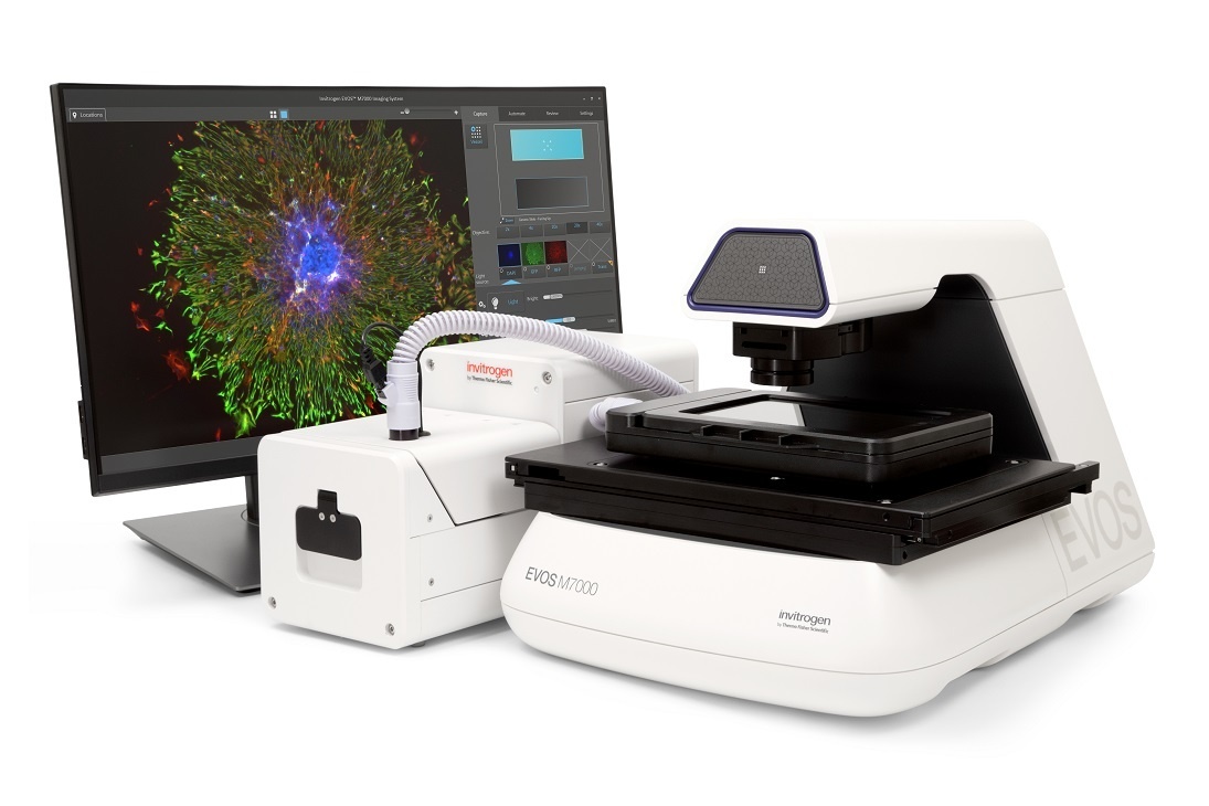 Invitrogen EVOS M7000全自动活细胞成像系统的图片
