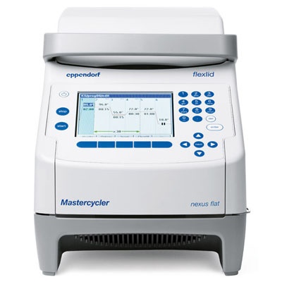 Eppendorf Mastercycler nexus flat PCR仪的图片