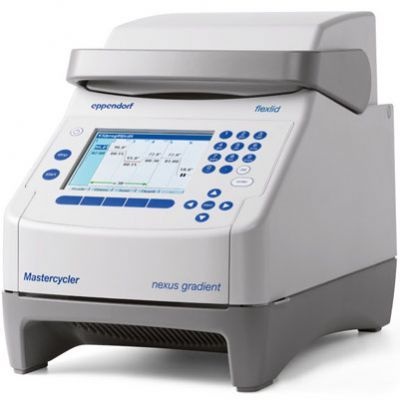 Eppendorf Mastercycler nexus PCR仪的图片