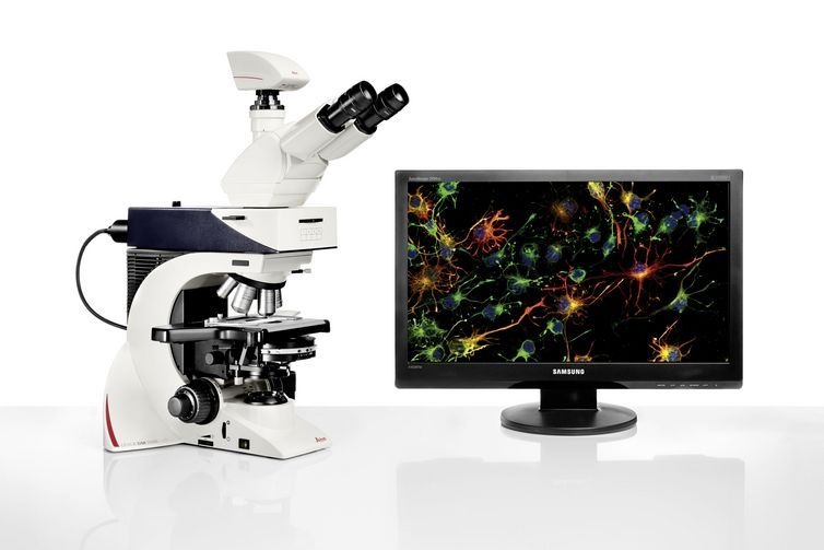 徕卡荧光显微镜DM2500的图片