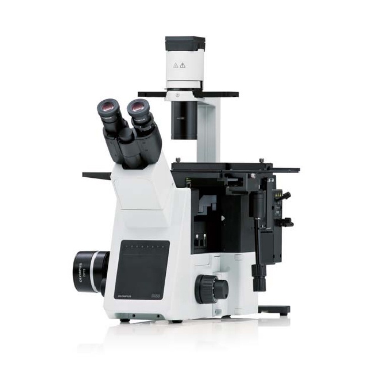奥林巴斯倒置显微镜ix53的图片