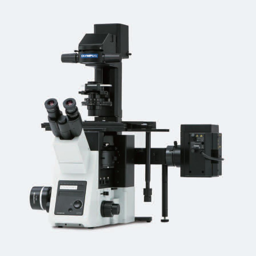 奥林巴斯倒置荧光显微镜IX73的图片