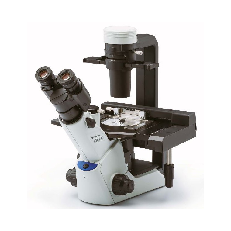 奥林巴斯倒置显微镜CKX53的图片