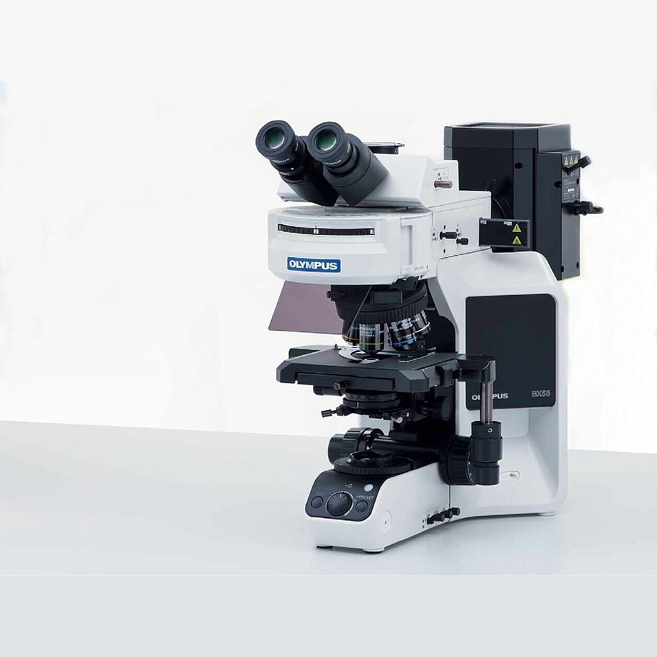 奥林巴斯荧光显微镜BX53的图片