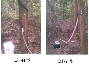 QT-Y或H系列树干截流采集仪