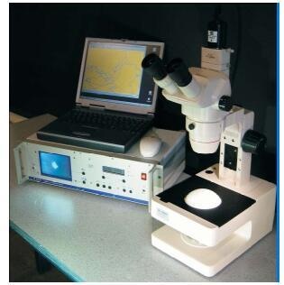LC-100伺服球昆虫行为记录仪的图片