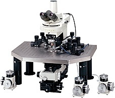 尼康FN1电生理显微镜的图片
