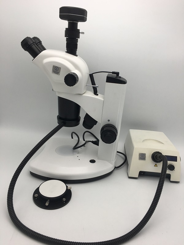 体视显微镜KOSTER SMC 900T的图片