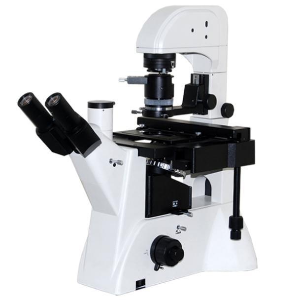 微分干涉相差倒置显微镜的图片