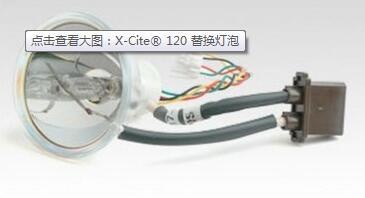 X-Cite® 120灯泡的图片