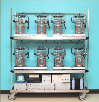 实验动物监测系统(能量代谢笼）的图片