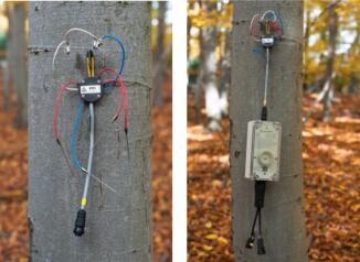 EMS81便携式树木茎流观测仪的图片