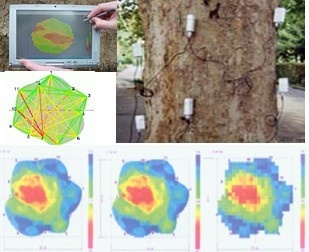 ARBOTOM二维/三维脉冲树木探测仪