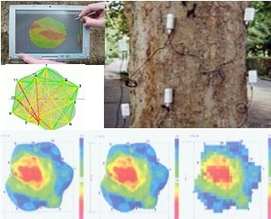 二维/三维脉冲树木探测仪的图片