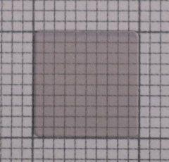 UTI-AlN-010B系列10x10mm AlN单晶衬底的图片