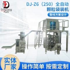DJ-Z6 250全自动颗粒袋装机的图片