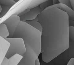氮化硼粉体的图片
