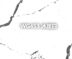 WG453 冰崖白