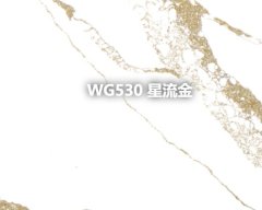 WG530 星流金的图片