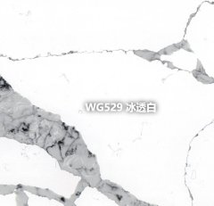WG529 冰透白