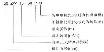 ZW型自吸式无堵塞排污泵 