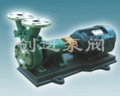 WB 型旋涡泵的图片