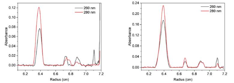 144402_095776_jsue_jswz.png 144402_095776_jsue_jswz.png