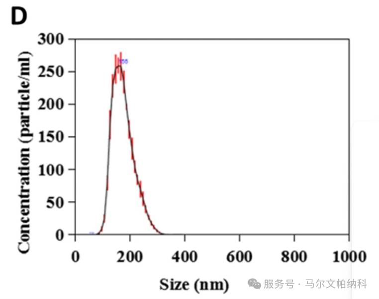 MOF7.png