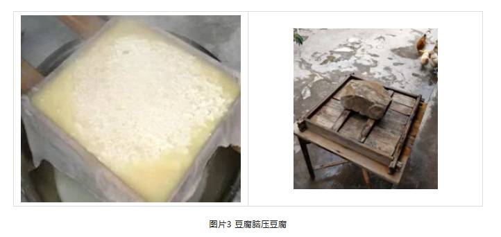 微信图片_20261005092631_410_5.png