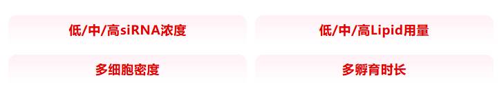 142406_598470_jsue_jswz.png