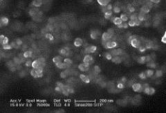 纳米椰子壳活性炭粉的图片