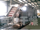 红枣专用带式烘干机生产线的图片