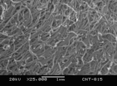 氨基化多壁碳纳米管JCMT-95-11-50-NH2的图片