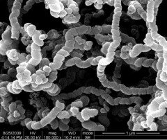 螺旋多壁碳纳米管JCHMT-90-150-6的图片