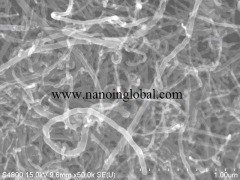 掺氮石墨化碳纳米管的图片