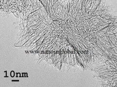 单层碳纳米角的图片
