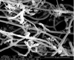 纳米碳纤维的图片